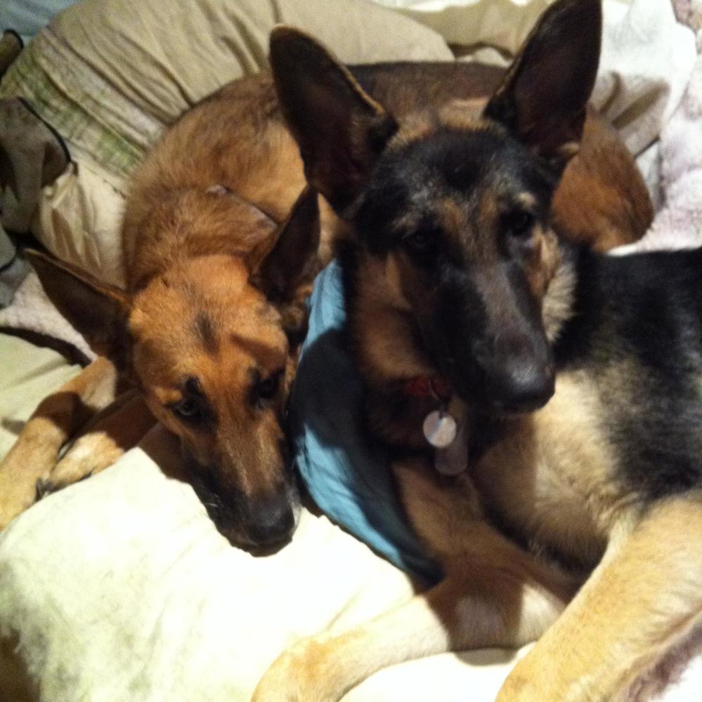 Meet your Posher, Kellie